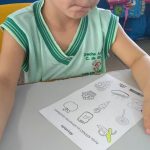 cropped-educacao.jpeg